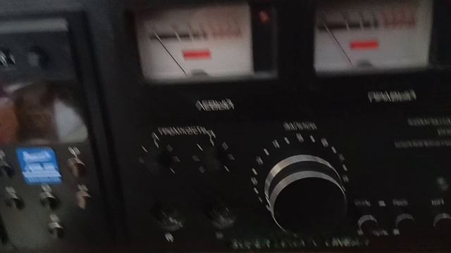 Вильма 204 \ 1 видео перед упаковкой смотреть онлайн