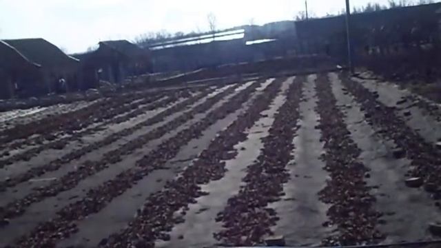 Клубника от Макса 7 Качество Волокна и капли смотреть онлайн