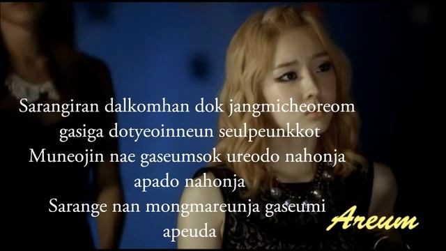 T-ARA's Areum - Day and Night (Lyrics on screen) [ROM_HAN] _ Shannon, Gunji (Gavy NJ). смотреть онлайн
