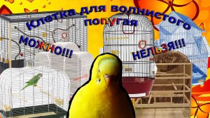Клетка для волнистого попугая. Как выбрать клетку для попугая? Какая должна быть клетка у попугая?