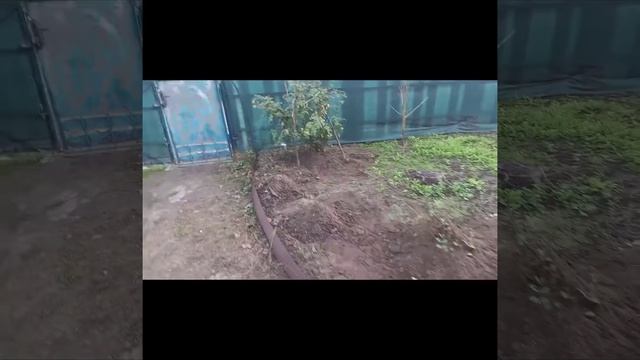 Осенние подарки природы смотреть онлайн