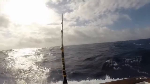 Cooktown Marlin Nick 2015 смотреть онлайн