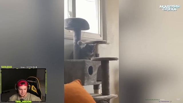 Попробуй не засмеяться, 90% проиграют! _- Мацонский Реакция смотреть онлайн