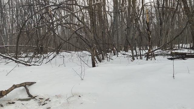 Приемник Белка смотреть онлайн