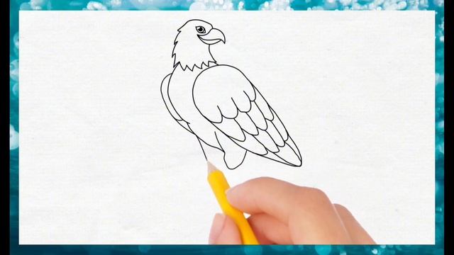 Eagle drawing easy/How to draw eagle step by step/How to draw bald eagle(@Howtodraw1984 ) смотреть онлайн