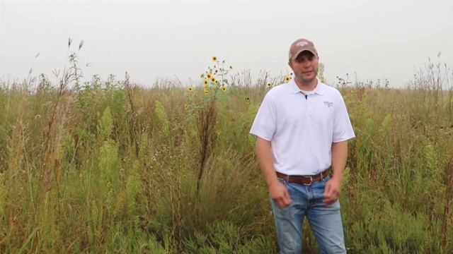 How To Hunt Prairie Grouse: 2019 Nebraska Upland Slam смотреть онлайн