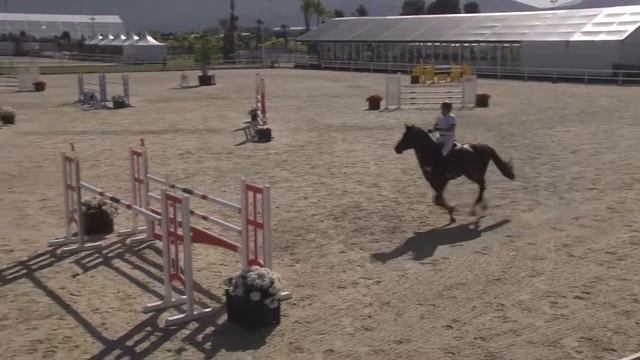 FANTASIO 8 - Herbert Ulonska - Bronze 4 - 1,40m - Valencia (25.10.2014) смотреть онлайн