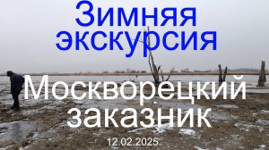Зимняя экскурсия. Москворецкий пойменный заказник. 12.02.2025. Конобеево.