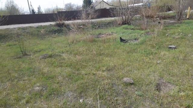 не то что мы видим смотреть онлайн