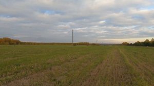 охота на косача с рср Moisgun Р2.Охота с GoPro