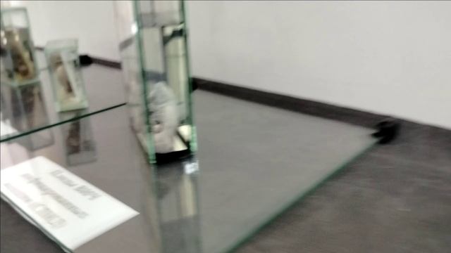 ПРОСТАЯ ЖИЗНЬ СХОДИЛА В МУЗЕЙ 1 Ч смотреть онлайн