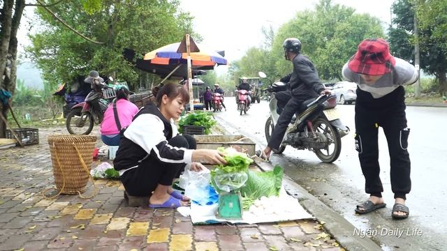 Harvest Chicken Eggs Go to the Market to Sell and Make DIY Bricks - Ngân Daily Life - Farm Life смотреть онлайн