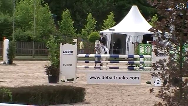 Silverstar-G Z (Silverstone x Irish Taxi xx) onder Lisa de Graaf, Blom Etten-Leur 2012 смотреть онлайн