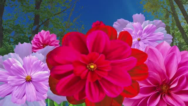 Финал Рассвет 1