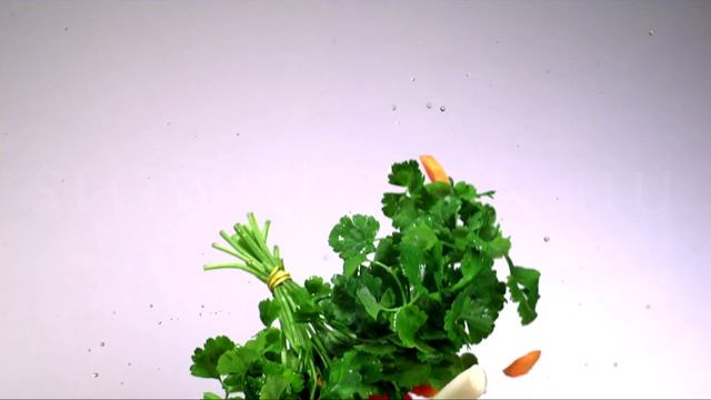 Vegetable Footage