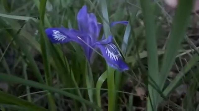 Вопрос номер 2 смотреть онлайн