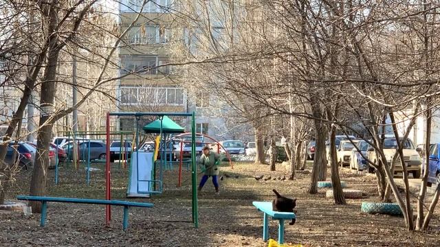 Доброе утро 😃☀️ Петра Дубрава!Субботник начинается с улыбок и весеннего кота 🐈 Петра Дубрава смотреть онлайн