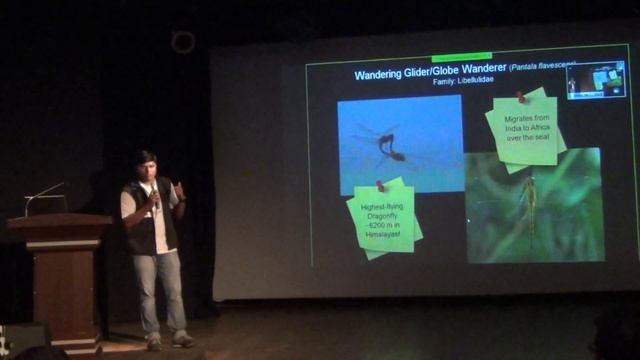 Identifying common dragonflies: Pankaj Korpade смотреть онлайн