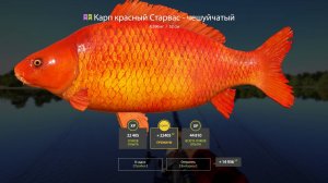 АКТИВНЫЙ КЛЕВ ЦВЕТНЯКОВ И ФАРМ НА ЯНТАРНОМ ОЗЕРЕ В РУССКОЙ РЫБАЛКЕ 4 РР4