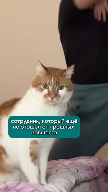 надо адаптироваться быстрее 🙄