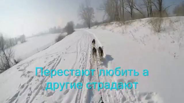 хаски.романтика.. смотреть онлайн