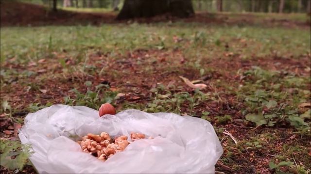 На том же месте, в тот же час ... смотреть онлайн