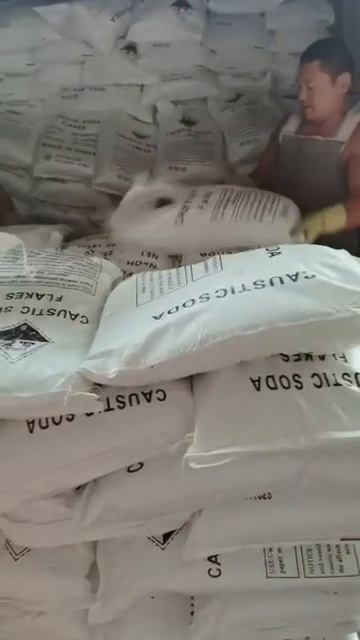 CAS 1310-73-2 Industrial 98% NaOH Sodium Hydroxide смотреть онлайн