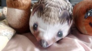 Две новости📰