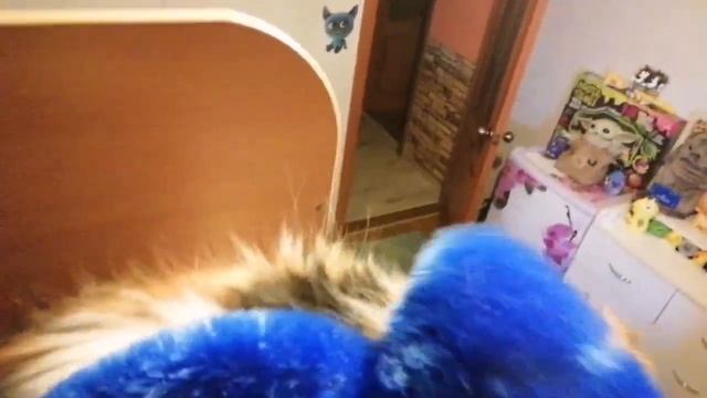 Хаги ваги отакует на нашу кошку смотреть онлайн