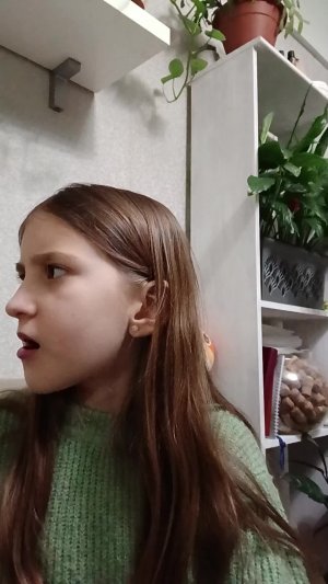 ми энд сист