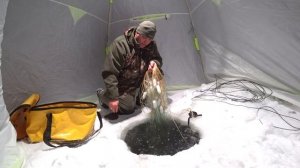 О том как ловить рыбу сетями в законе!