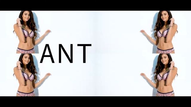 Antigel FW 2018-19 смотреть онлайн