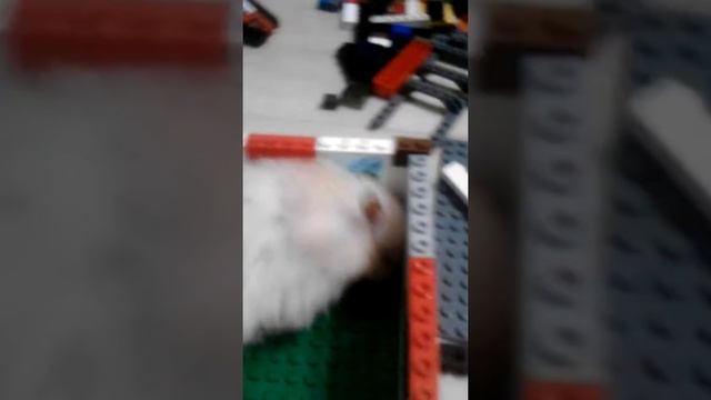 Домик для хомяка из лего смотреть онлайн