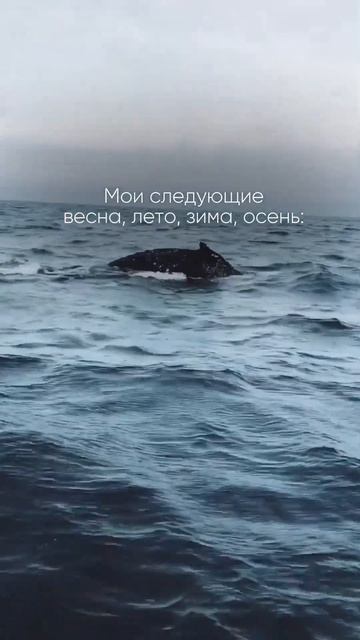 Удивительное место в России 🐋 #север #природа #travel #shorts #туры #short смотреть онлайн