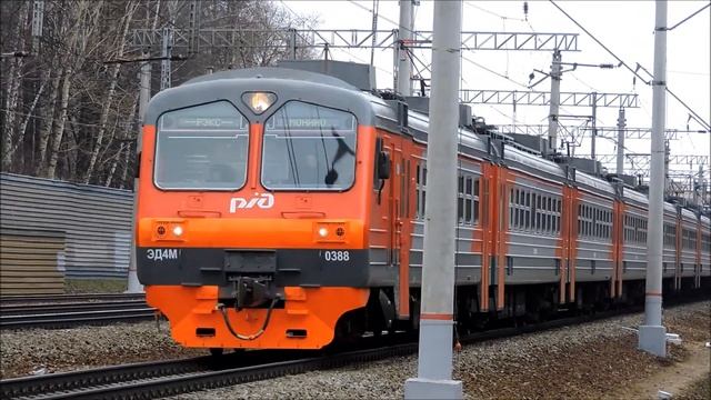 Электропоезд ЭД4М 388 смотреть онлайн