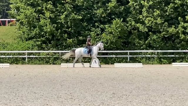 04.07.2022 Полина и пони Винджино. Тренировка с Соболевой Ольгой Олеговной смотреть онлайн