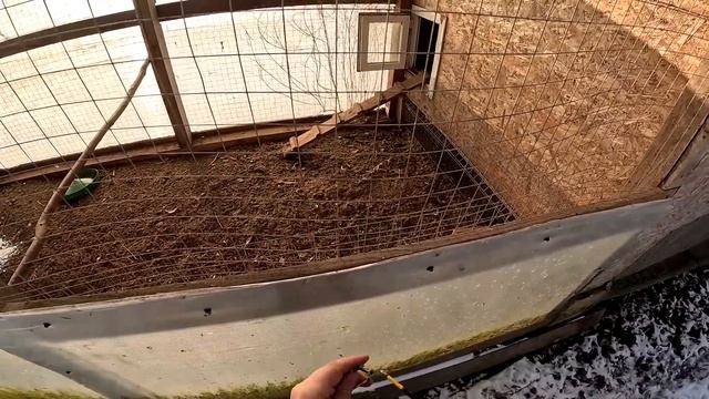 Её больше нет . Новые ворота установили ! Стало классно ! ХУТОР В ЛЕСУ №601