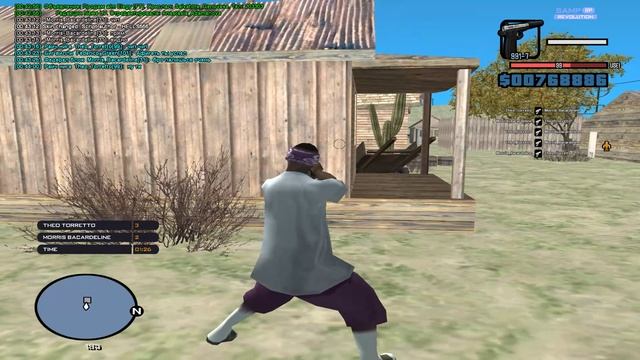 аим самп рп