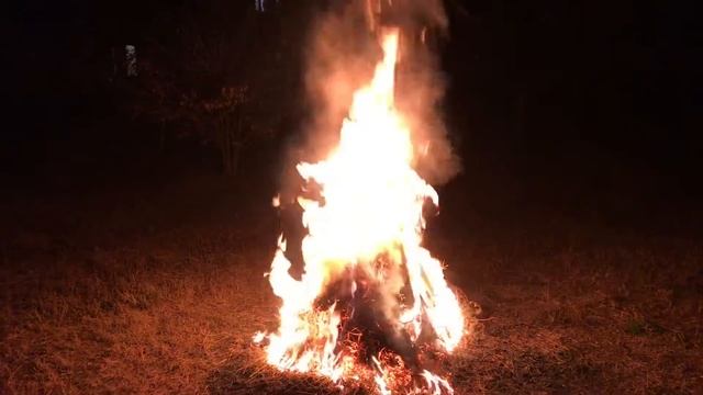 Деревенский костёр ночью смотреть онлайн