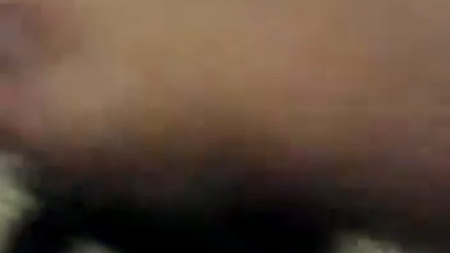 прикол.моя кошка недотрога. смотреть онлайн