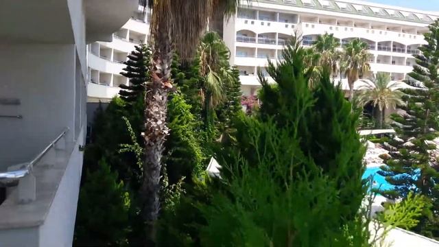 Amelia beach 2017 смотреть онлайн
