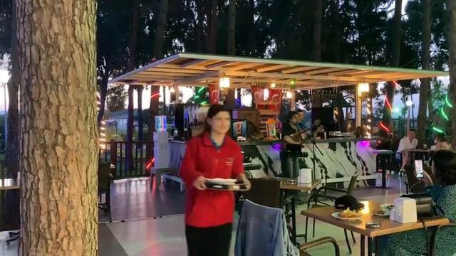 Живая музыка Prenses Sealine Beach Hotel 4* Турция Live Music Prenses Sealine Beach Hotel 4*