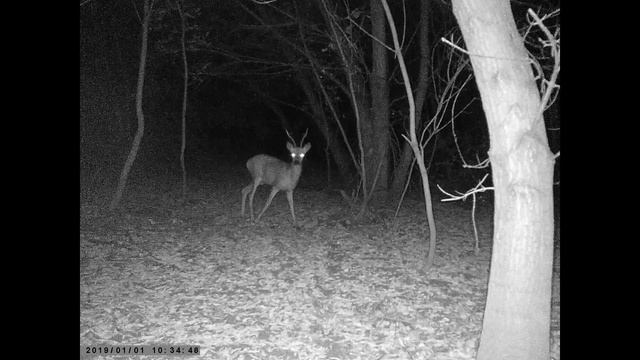 Ночная жизнь. Nightlife