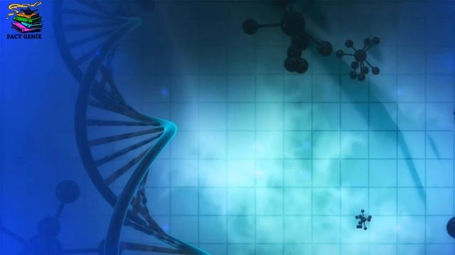 Multiple Head Immortal Hydra Created In Lab | Lab ने बनाया कई सिरों वाला अमर जीव | In Hindi смотреть онлайн