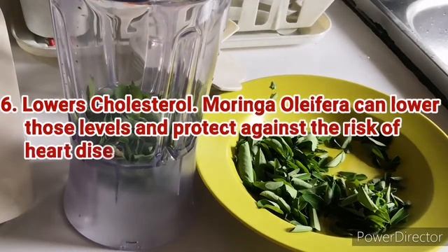 Moringa a Miracle herbs and its Benefits.. смотреть онлайн