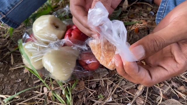 White Wax Apple, How to eat Wax Apple, Red Wax Apple, Tropical Fruits, Asia Fruits, Asian Fruits. смотреть онлайн