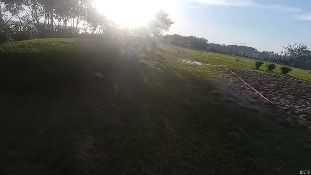 Iron Ambassador*5 Side кролики смотреть онлайн