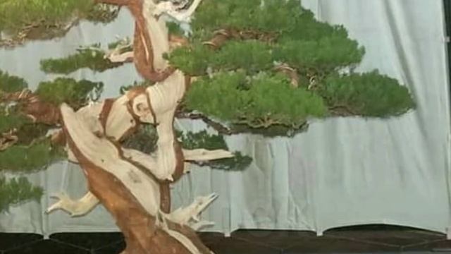 Inspirasi Karya Bonsai Indonesia Best Ten The Legend, Parahyangan, Bandung 2019 смотреть онлайн