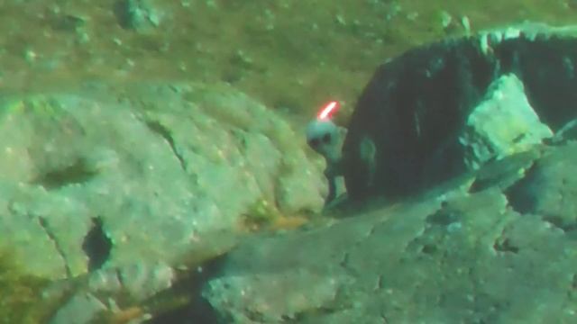 ALIENI E ASTRONAVI IN VALMALENCO - Conferenza 25/05/2024 Gruppo UFO Cremona смотреть онлайн