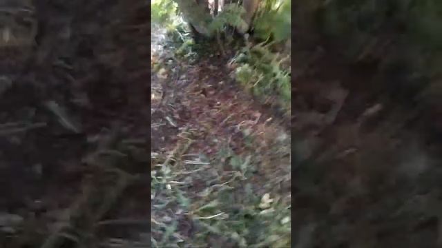 Вызов жвачного гнома ( он не пришло 😭 ) смотреть онлайн